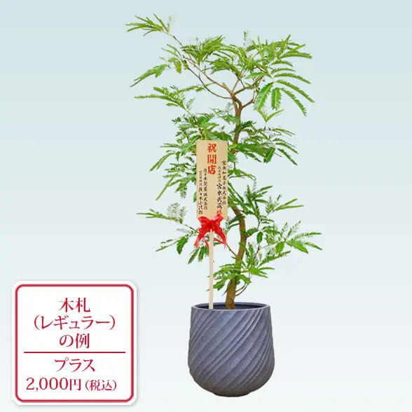 エバーフレッシュ(スパイラル型、グラスファイバー製鉢カバー付)　Ｍサイズ　レギュラー札付き