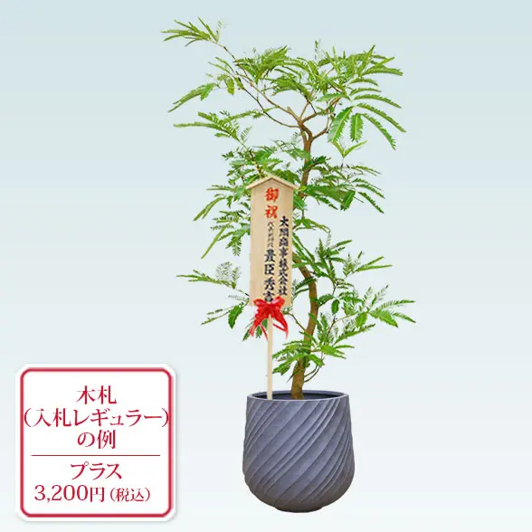 エバーフレッシュ(スパイラル型、グラスファイバー製鉢カバー付)　Ｍサイズ　入札付き