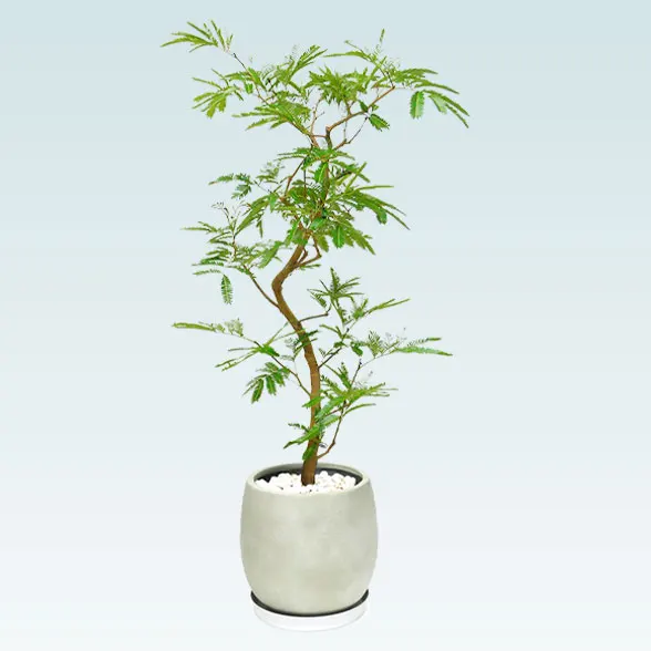 エバーフレッシュ(グラスファイバー製鉢植込み、バルーン型)　スタイリッシュ4