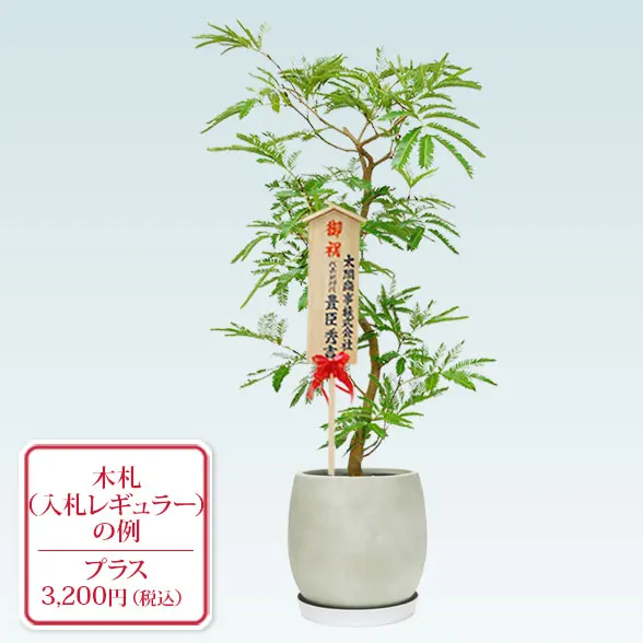 エバーフレッシュ(グラスファイバー製鉢植込み、バルーン型