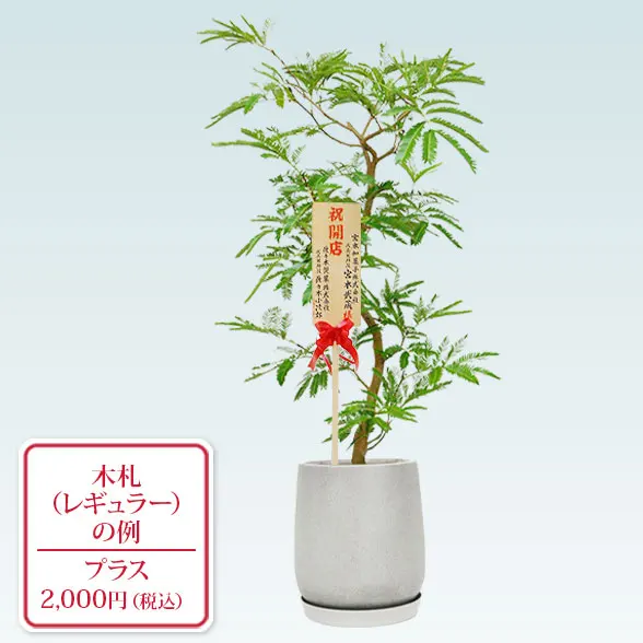 エバーフレッシュ(グラスファイバー製鉢植込み、チューリップ型)７