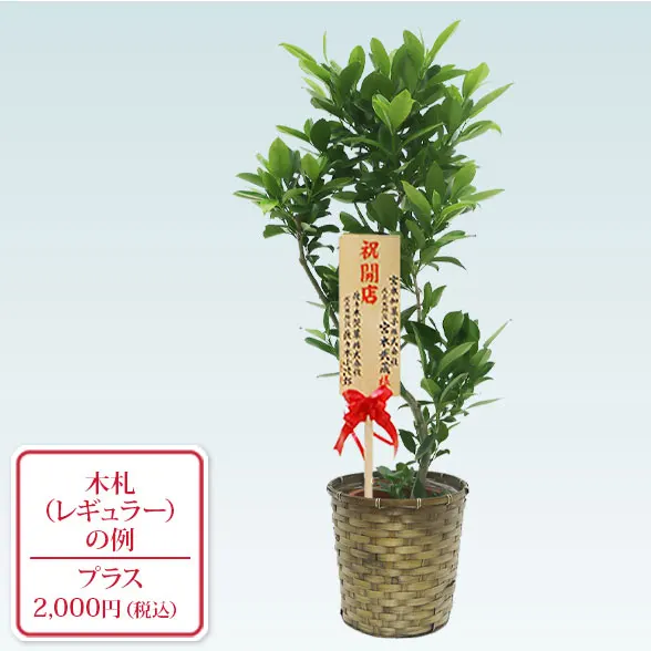 ファグラエア(籐かご付、ダークブラウン色)　Mサイズ10