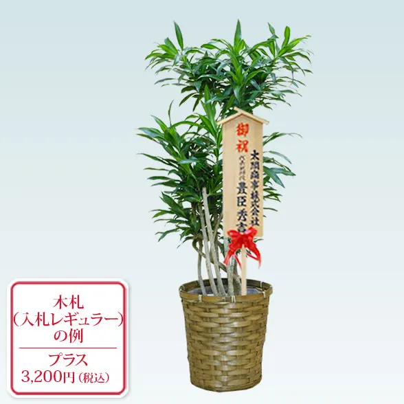 ソングオブジャマイカ(籐かご付、ダークブラウン色)　Mサイズ２３