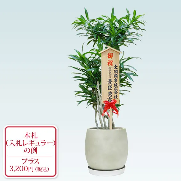 ソングオブジャマイカ(グラスファイバー製鉢植込み、バルーン型)23