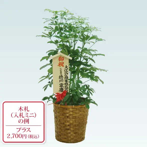 カポック(籐かご付、ダークブラウン色)　Mサイズ１０