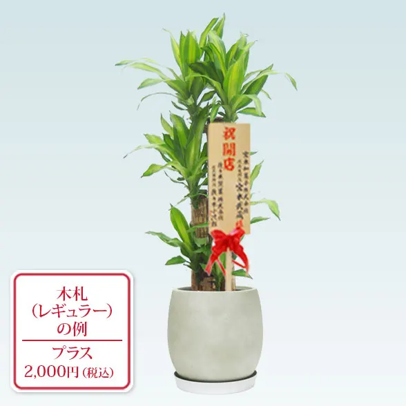 幸福の木(グラスファイバー製鉢植込み、バルーン型)8