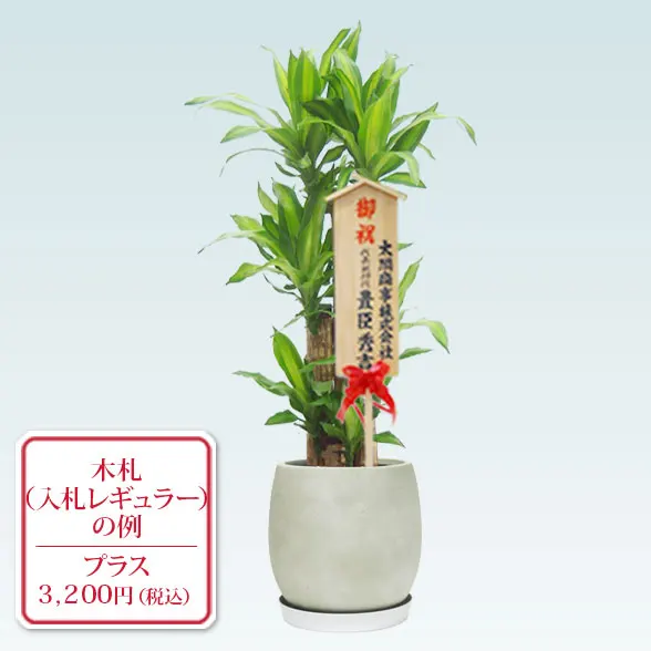 幸福の木(グラスファイバー製鉢植込み、バルーン型)11