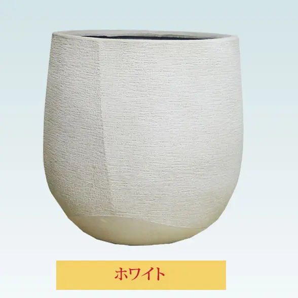 ラグジュアリー型　ホワイト