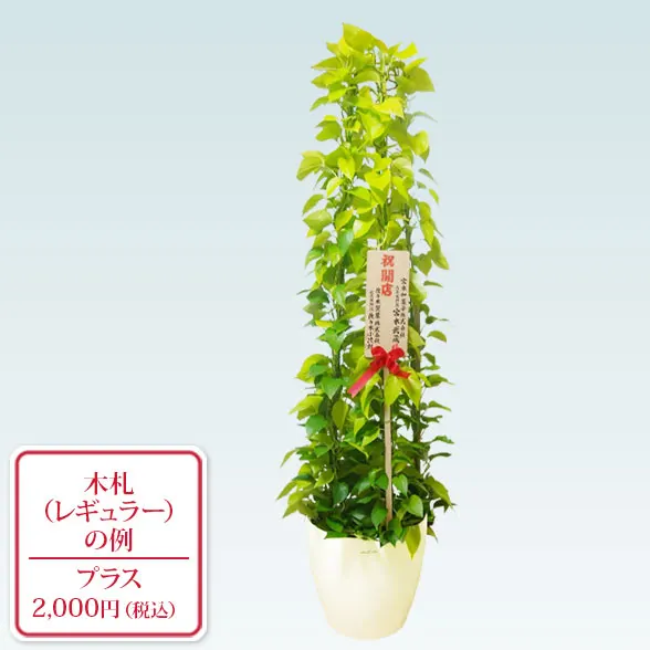 ポトスライムタワー(ラスターポット付)　Lサイズ9