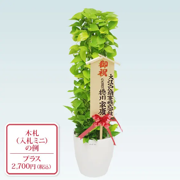 ポトスライムタワー(ラスターポット付)　Ｍサイズ10