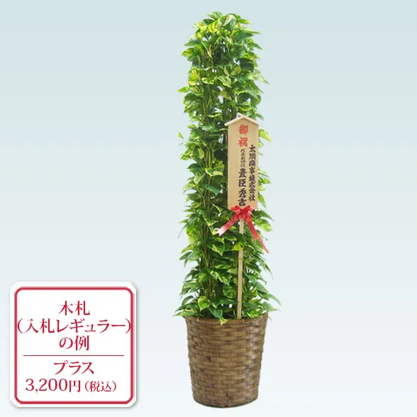 ポトスタワー(籐かご付、ダークブラウン色)　Lサイズ１０