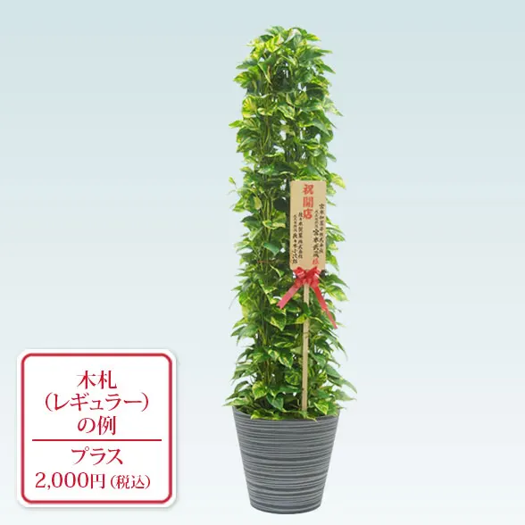 【タジトウ⚠神奈川】空気をキレイにするエコプラントポトスタワー仕立10号① タジトウ様専用⚠神奈川】空気をキレイにするエコプラントポトス