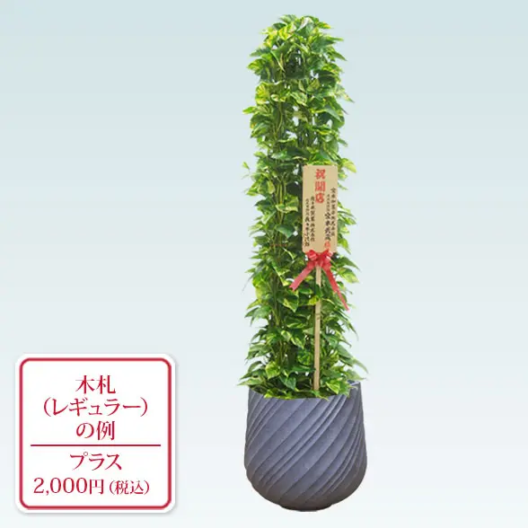 ポトスタワー(スパイラル型、グラスファイバー製鉢カバー付)　Lサイズ　グレー　レギュラー札付き