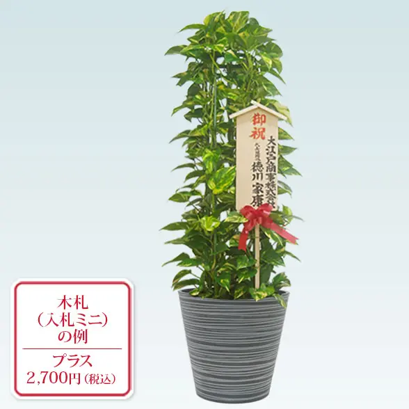 ポトスタワー(エコフレンドリーポット付)　Ｍサイズ　入札ミニ付き