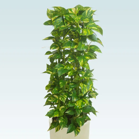 ポトスタワー(Uポット型、グラスファイバー製鉢カバー付)　Ｍサイズ2