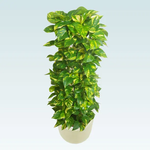 ポトスタワー(Uポット型、グラスファイバー製鉢カバー付)　Ｍサイズ9