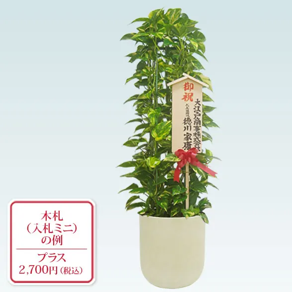 ポトスタワー(Uポット型、グラスファイバー製鉢カバー付)　Ｍサイズ16