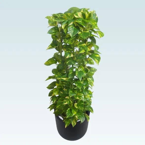 ポトスタワー(Uポット型、グラスファイバー製鉢カバー付)　Ｍサイズ93