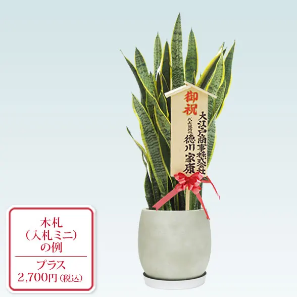 サンセベリア(グラスファイバー製鉢植込み、バルーン型)　スタイリッシュ10