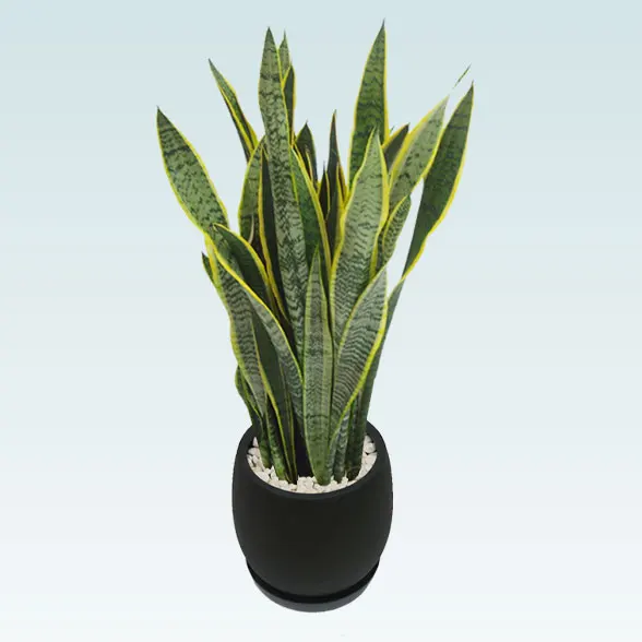 サンセベリア(グラスファイバー製鉢植込み、バルーン型)　スタイリッシュ4