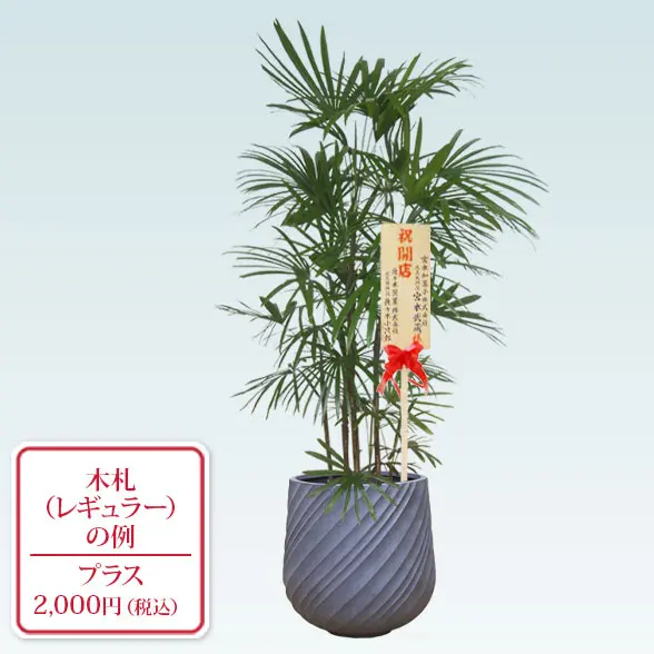 シュロチク(スパイラル型、グラスファイバー製鉢カバー付)　Lサイズ　グレー　レギュラー札付き