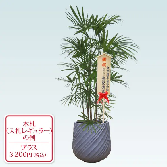 シュロチク(スパイラル型、グラスファイバー製鉢カバー付)　Lサイズ　グレー　入札付き