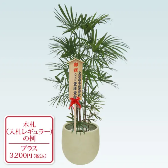 シュロチク(バルーン型、グラスファイバー製鉢カバー付)　Lサイズ10