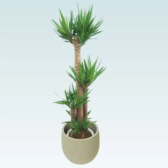 ユッカ(バルーン型、グラスファイバー製鉢カバー付)　Lサイズ4