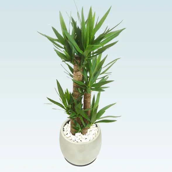ユッカ(グラスファイバー製鉢植込み、バルーン型)3