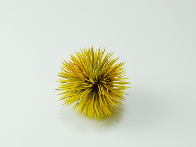 イガ栗　ポリ製