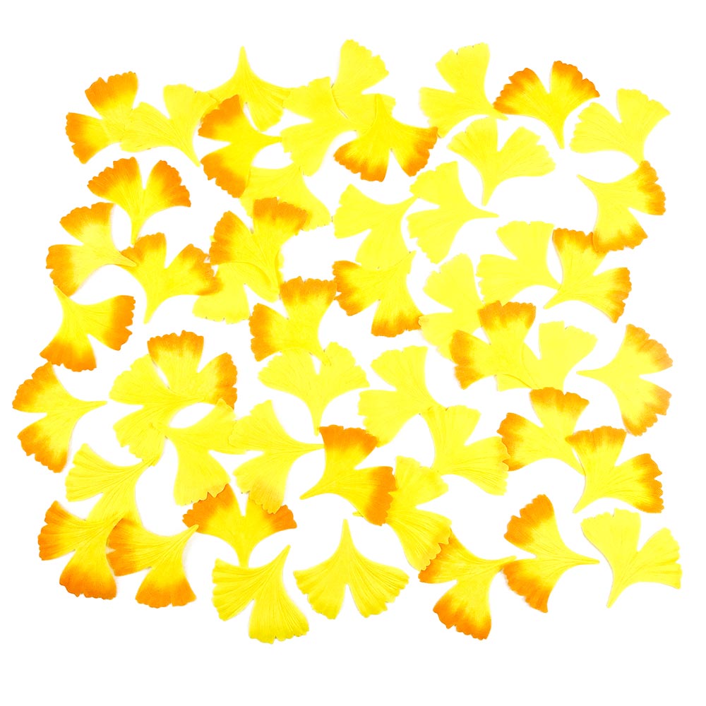 イチョウ落ち葉セット_01