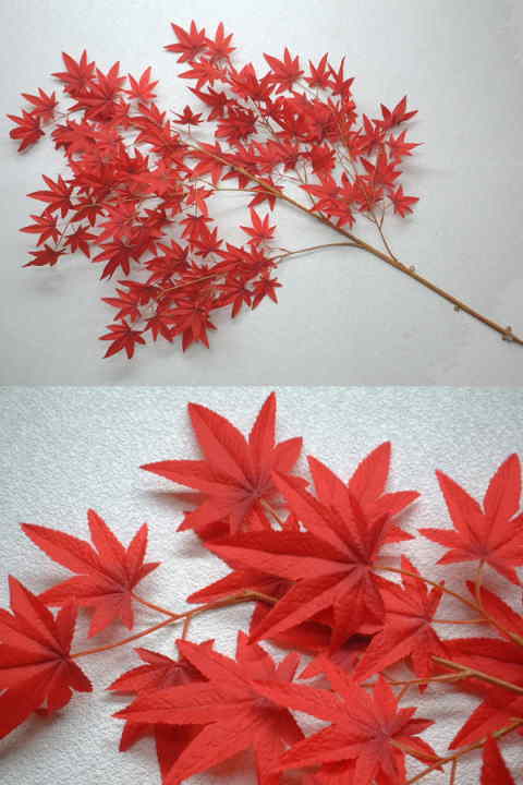 もみじ大枝　赤/黒