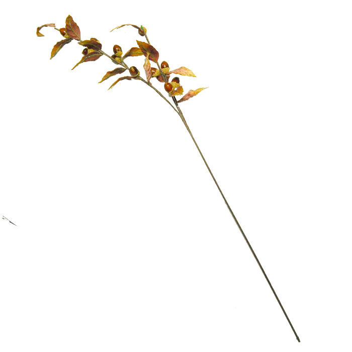 どんぐり付き枝