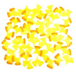 イチョウ落ち葉セット_01