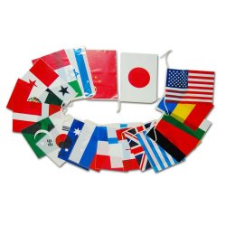 ビニール万国旗20ヶ国（大）