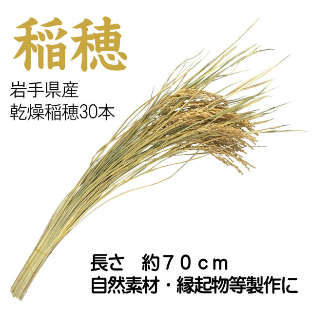 稲穂・葉付き （天然・いなほ）30本入 しめ縄・縁起物飾り等、製作用