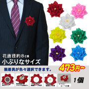 花のみ　バラ1号