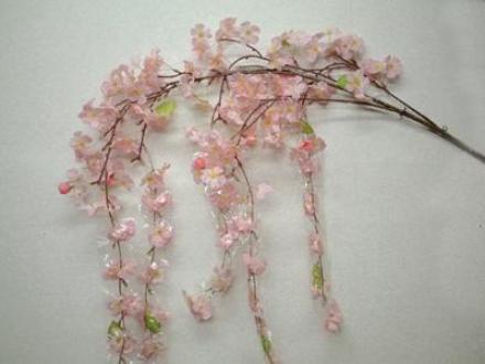 しだれ桜