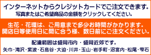祝お届け案内