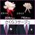 桜コサージュ05