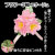３輪コサージュ25_03