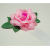 紙バラ白房付　ピンク　アップ