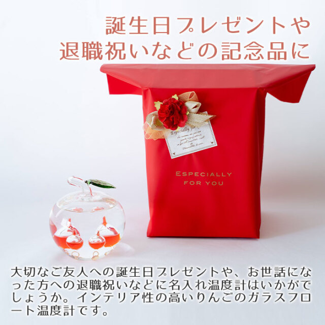 誕生日プレゼントや退職祝いの贈り物に名入れ温度計 かわいい リンゴ