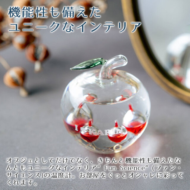 機能性も備えたユニークなインテリア