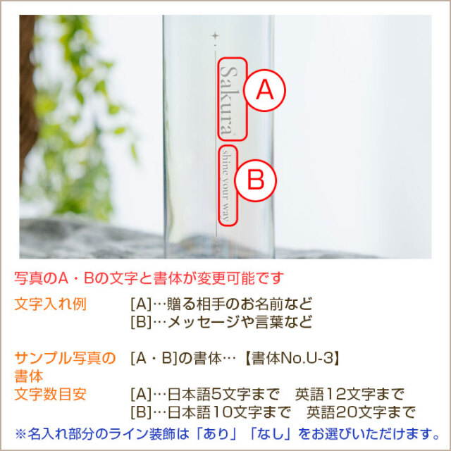 文字入れ内容
