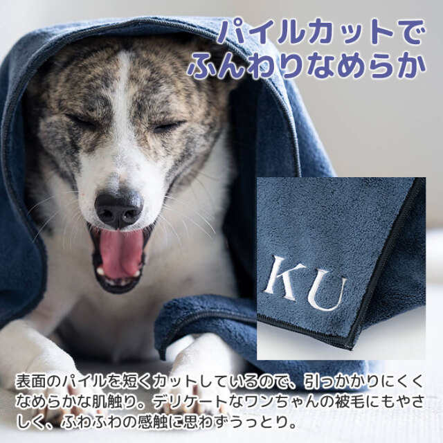 パイルカットでふんわりなめらか