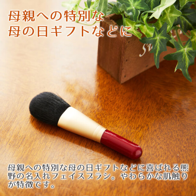 母親への特別な母の日ギフトなどに