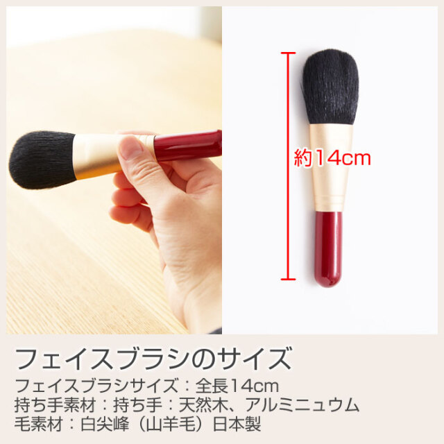 フェイスブラシのサイズ