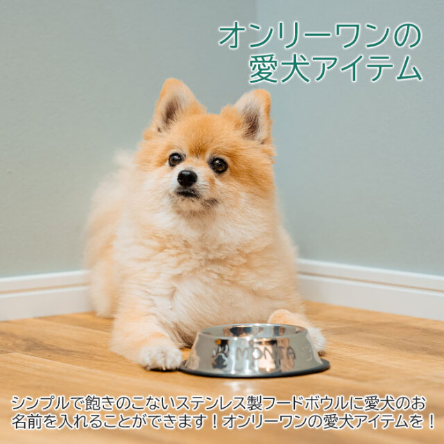 オンリーワンの愛犬アイテム