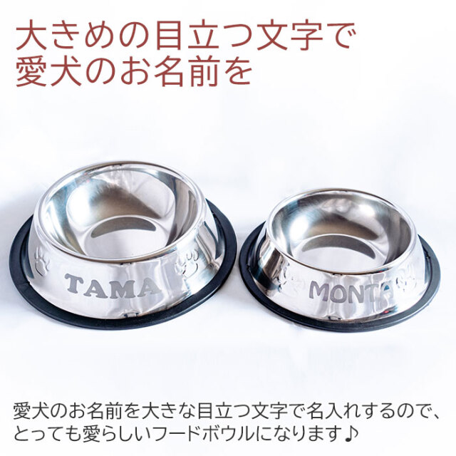 大きめの目立つ文字で愛犬のお名前を